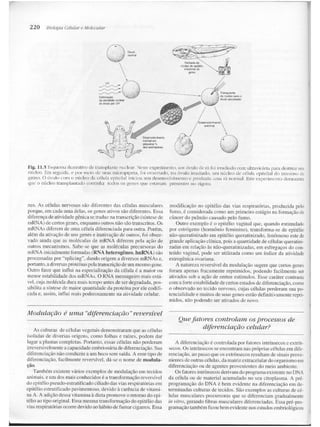 Junqueira &amp; carneiro   biologia celular e molecular