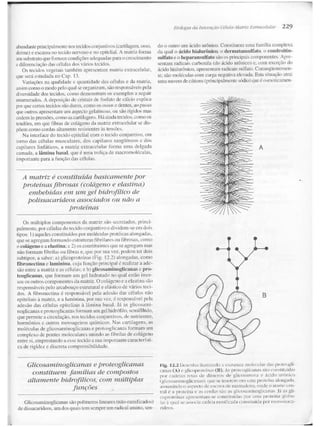 Junqueira &amp; carneiro   biologia celular e molecular
