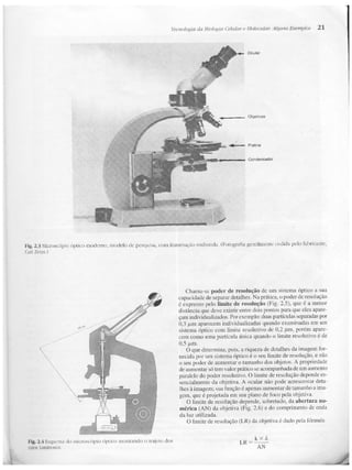 Junqueira &amp; carneiro   biologia celular e molecular