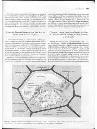 Junqueira &amp; carneiro   biologia celular e molecular