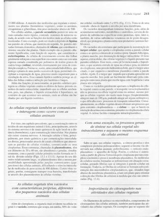 Junqueira &amp; carneiro   biologia celular e molecular