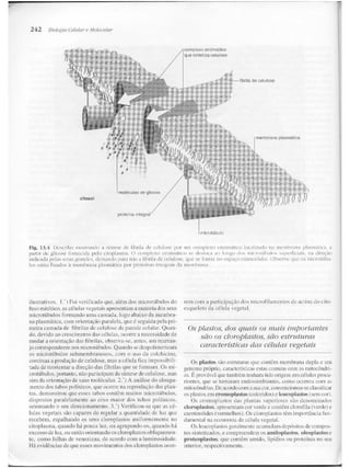 Junqueira &amp; carneiro   biologia celular e molecular