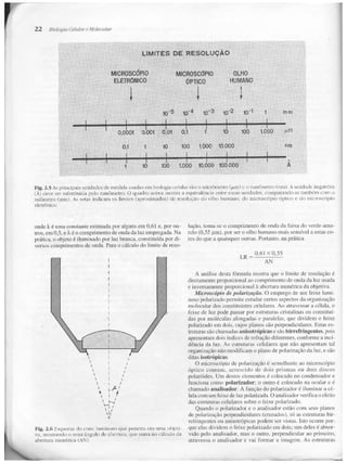 Junqueira &amp; carneiro   biologia celular e molecular