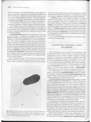 Junqueira &amp; carneiro   biologia celular e molecular