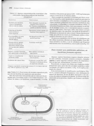 Junqueira &amp; carneiro   biologia celular e molecular