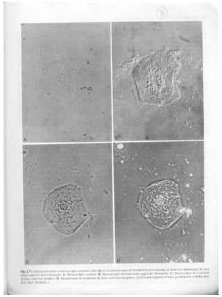 Junqueira &amp; carneiro   biologia celular e molecular