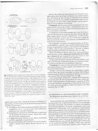 Junqueira &amp; carneiro   biologia celular e molecular