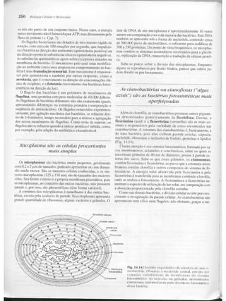 Junqueira &amp; carneiro   biologia celular e molecular