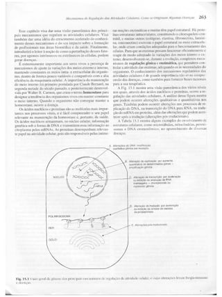 Junqueira &amp; carneiro   biologia celular e molecular