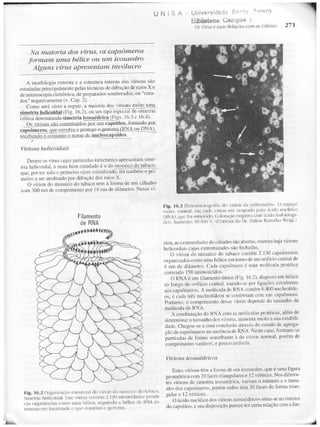 Junqueira &amp; carneiro   biologia celular e molecular