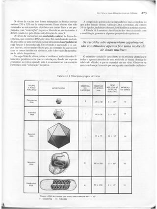 Junqueira &amp; carneiro   biologia celular e molecular
