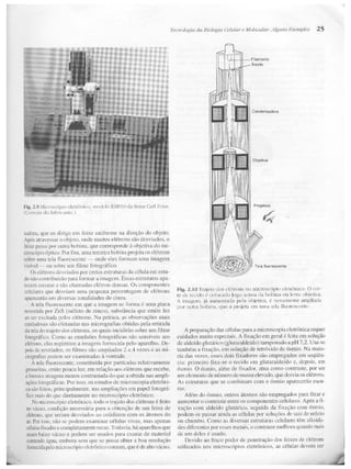Junqueira &amp; carneiro   biologia celular e molecular