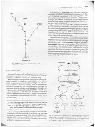 Junqueira &amp; carneiro   biologia celular e molecular