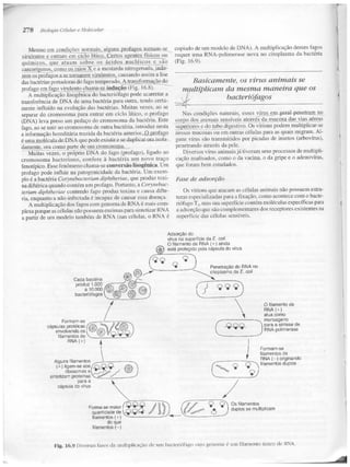 Junqueira &amp; carneiro   biologia celular e molecular