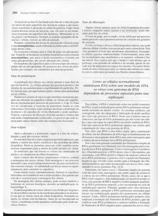 Junqueira &amp; carneiro   biologia celular e molecular