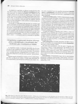 Junqueira &amp; carneiro   biologia celular e molecular