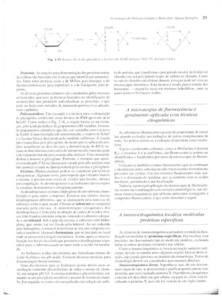 Junqueira &amp; carneiro   biologia celular e molecular