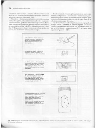 Junqueira &amp; carneiro   biologia celular e molecular