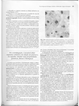 Junqueira &amp; carneiro   biologia celular e molecular