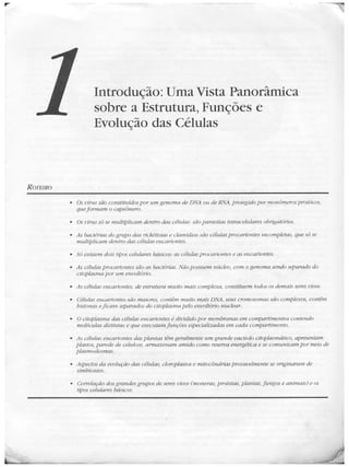 Junqueira &amp; carneiro   biologia celular e molecular