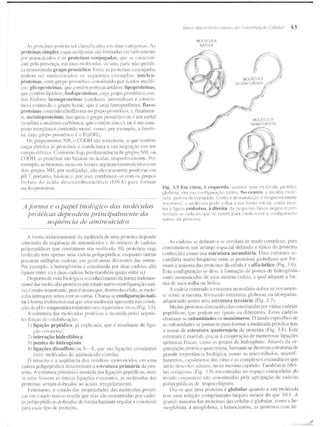 Junqueira &amp; carneiro   biologia celular e molecular