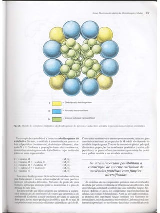 Junqueira &amp; carneiro   biologia celular e molecular