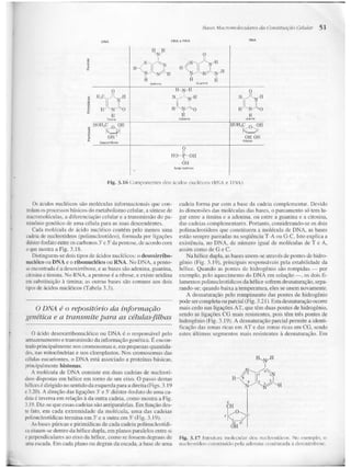 Junqueira &amp; carneiro   biologia celular e molecular