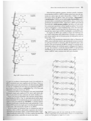 Junqueira &amp; carneiro   biologia celular e molecular