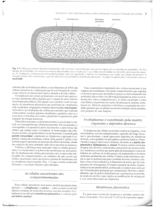 Junqueira &amp; carneiro   biologia celular e molecular