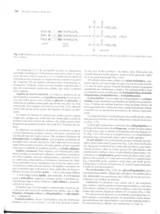 Junqueira &amp; carneiro   biologia celular e molecular
