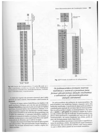 Junqueira &amp; carneiro   biologia celular e molecular