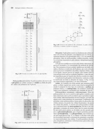 Junqueira &amp; carneiro   biologia celular e molecular