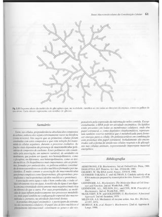 Junqueira &amp; carneiro   biologia celular e molecular