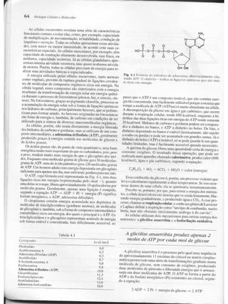 Junqueira &amp; carneiro   biologia celular e molecular