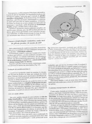 Junqueira &amp; carneiro   biologia celular e molecular