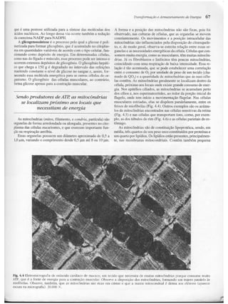 Junqueira &amp; carneiro   biologia celular e molecular