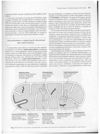 Junqueira &amp; carneiro   biologia celular e molecular