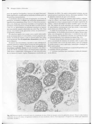 Junqueira &amp; carneiro   biologia celular e molecular