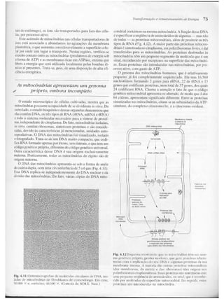 Junqueira &amp; carneiro   biologia celular e molecular