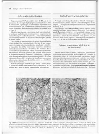 Junqueira &amp; carneiro   biologia celular e molecular