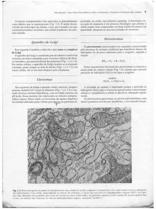 Junqueira &amp; carneiro   biologia celular e molecular