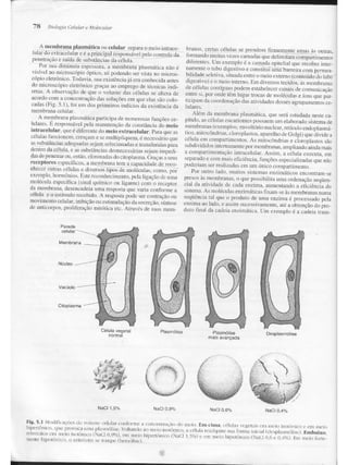 Junqueira &amp; carneiro   biologia celular e molecular