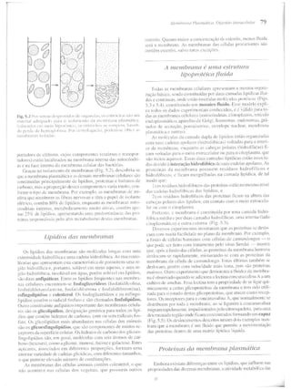 Junqueira &amp; carneiro   biologia celular e molecular