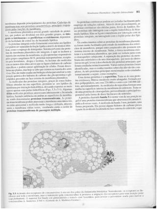 Junqueira &amp; carneiro   biologia celular e molecular