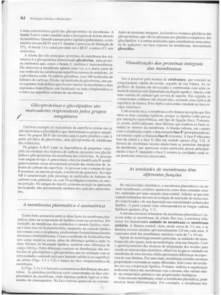 Junqueira &amp; carneiro   biologia celular e molecular