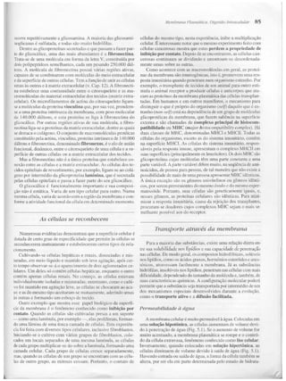 Junqueira &amp; carneiro   biologia celular e molecular