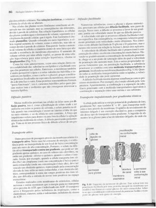 Junqueira &amp; carneiro   biologia celular e molecular