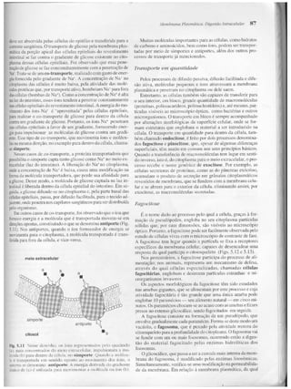 Junqueira &amp; carneiro   biologia celular e molecular