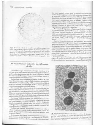Junqueira &amp; carneiro   biologia celular e molecular