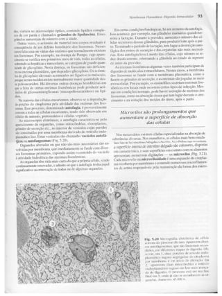 Junqueira &amp; carneiro   biologia celular e molecular